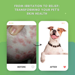 VoilaVe HOCL Spray for Dogs & Cats - Hypochlorous Acid Spray for Pets, Antiseptic Spray, 8 oz