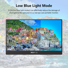 TM-0253 | (WN) WUAWE 14" Portable Monitor 1080P FHD USB-C Laptop Display HDR FreeSync Travel Screen